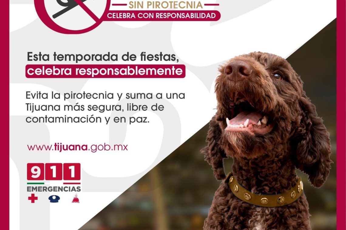 Rechaza la pirotecnia, por favor