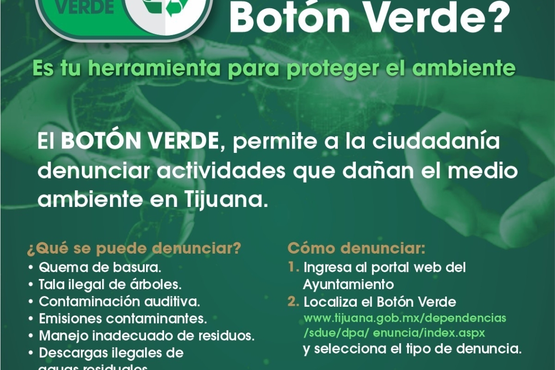 Promueve Ayuntamiento, Botón Verde