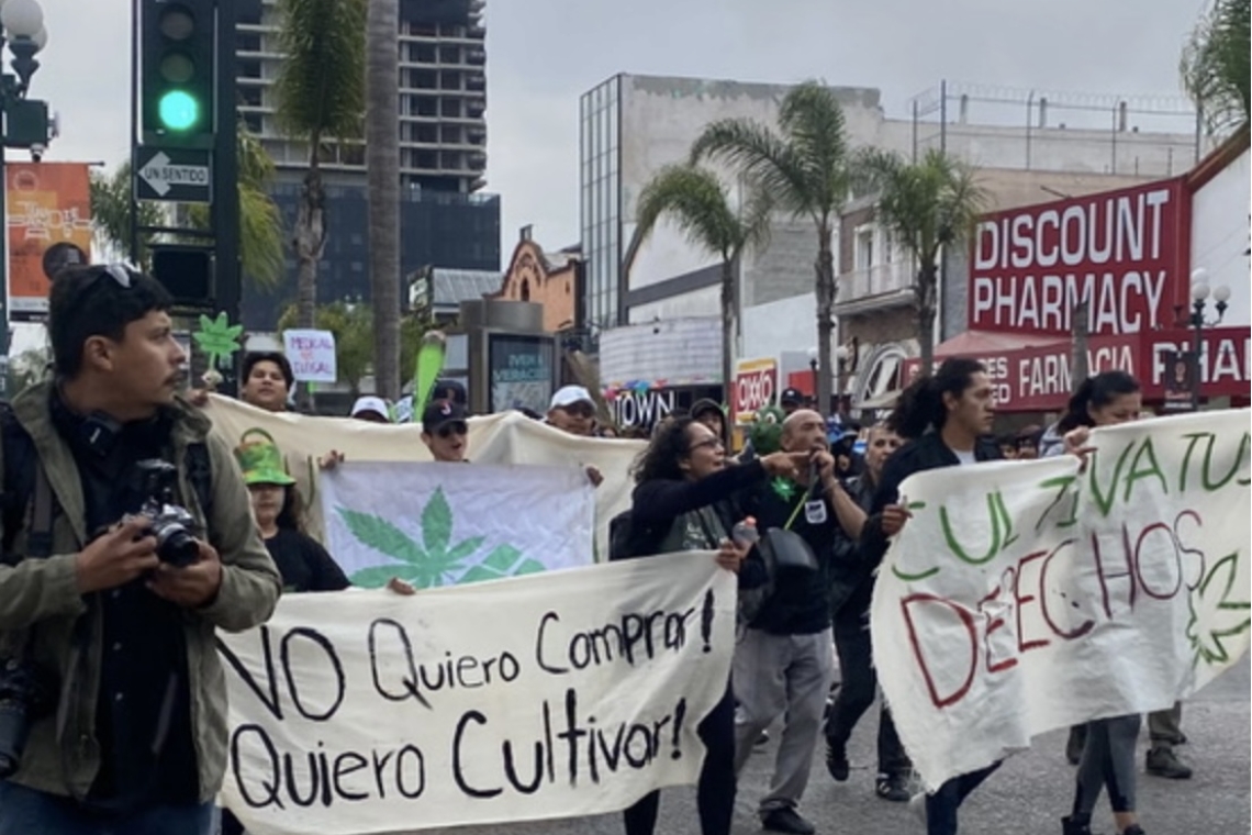 “NO QUIERO COMPRAR, QUIERO CULTIVAR”