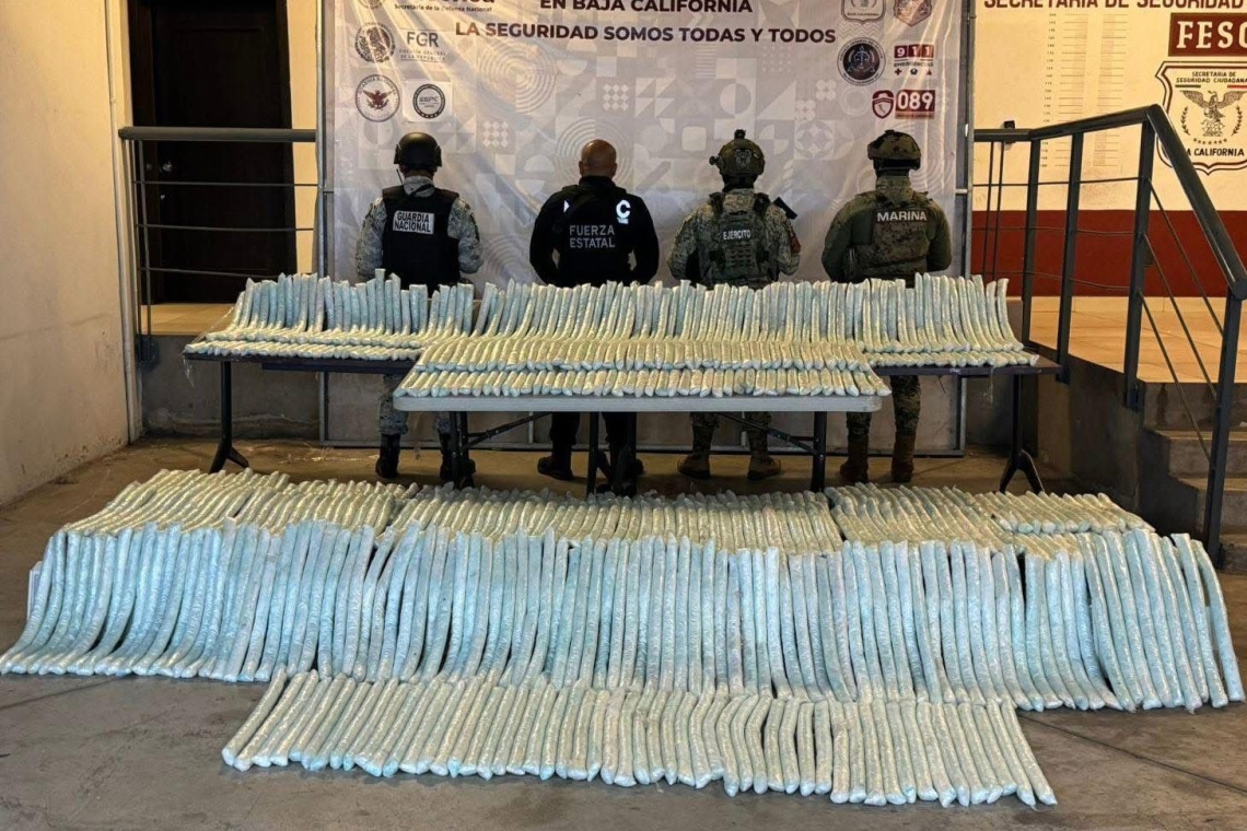 Otro golpe al narcotrafico