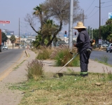 Beneficia ‘Tijuana Ciudad Limpia’ a más de 8 mil habitantes de las colonias México Lindo, Guaycura y Tomás Aquino