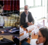El PT es el más multado El INE sanciona con 32 millones de pesos a partidos políticos por irregularidades