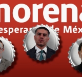 Autoridad protege a 300 perritos hacinados