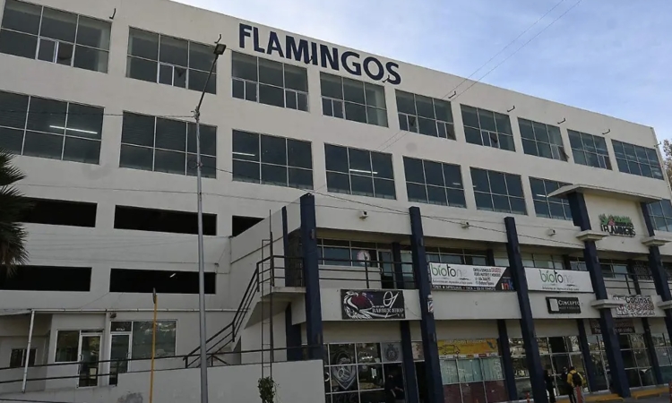 Más de 6 mil repatriados han llegado al albergue Flamingos en lo que va del año