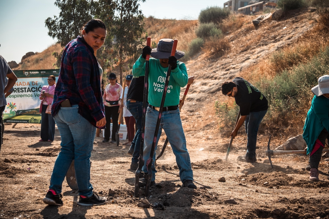 Realiza Gobierno de Tijuana macro jornada de forestación 'Respiremos Verde'