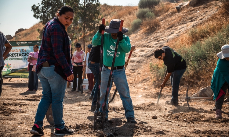 Realiza Gobierno de Tijuana macro jornada de forestación 'Respiremos Verde'