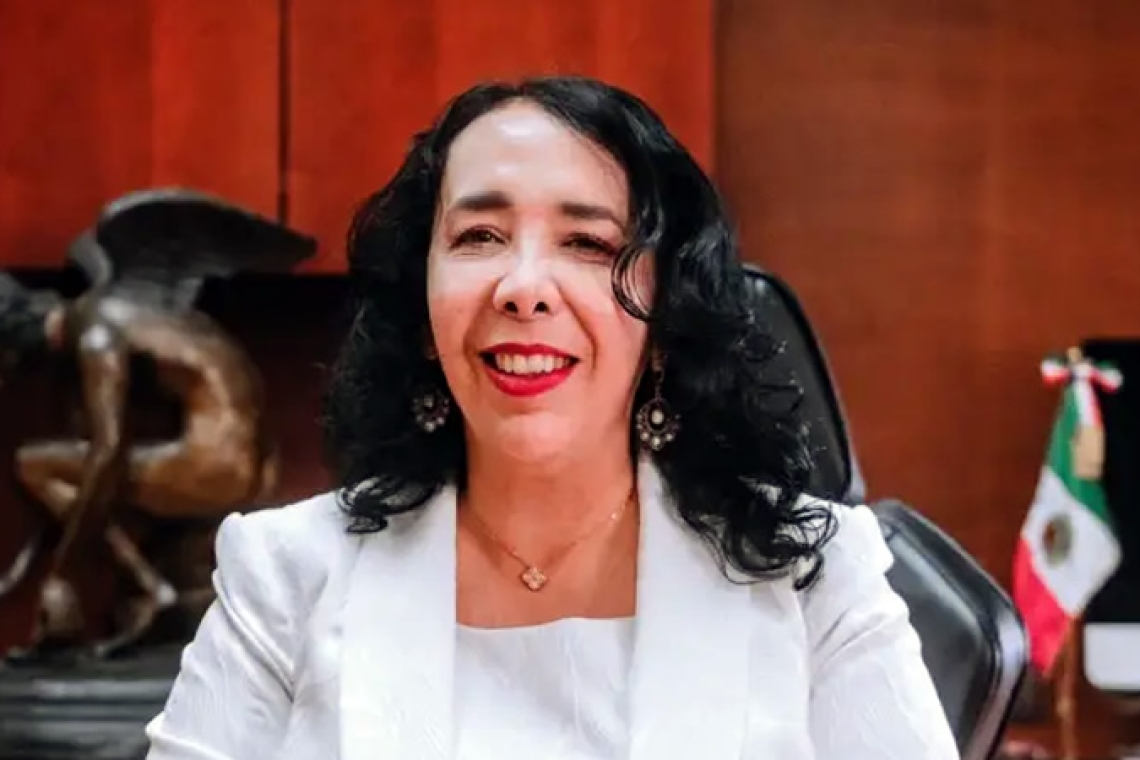 Legisladores locales piden que se investigue a Araceli Brown en México.