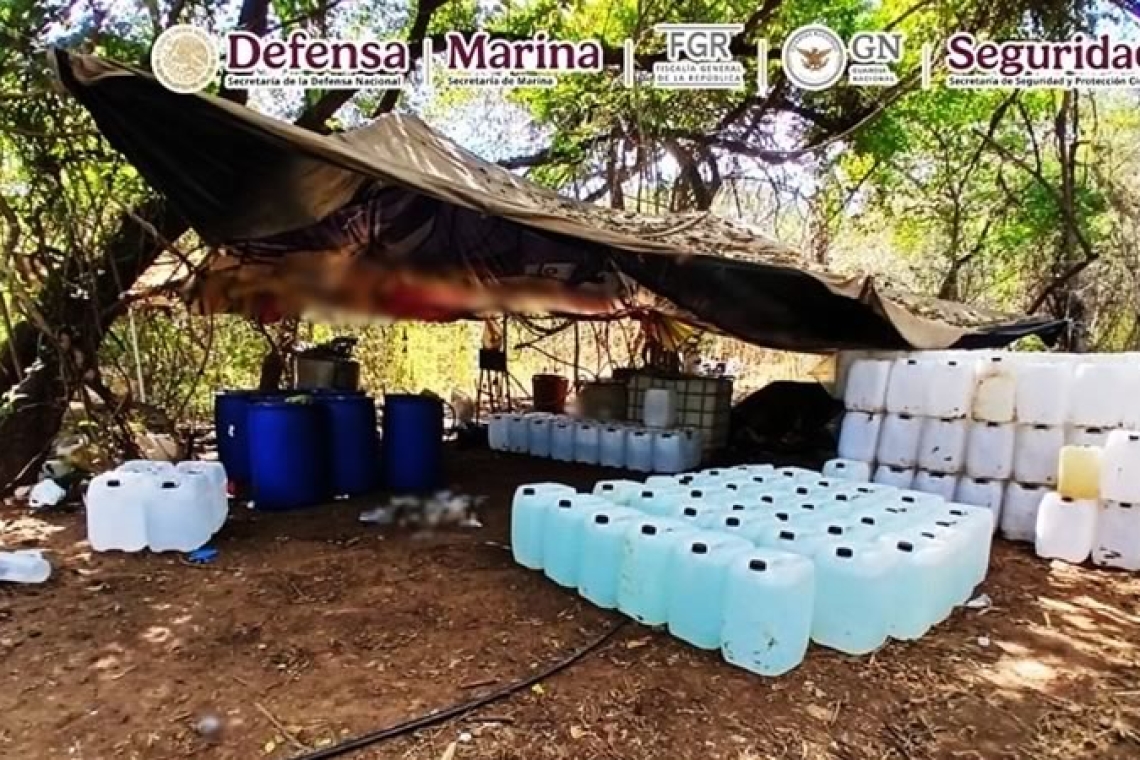 Golpe al crimen de 12 mil 457 mdp: desmantelan 'narcolaboratorios' en BC y Sinaloa