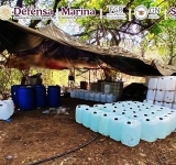 Golpe al crimen de 12 mil 457 mdp: desmantelan 'narcolaboratorios' en BC y Sinaloa