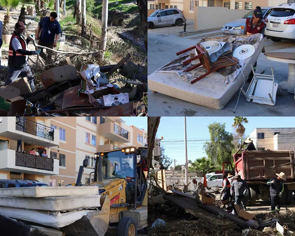 tijuana limpia3