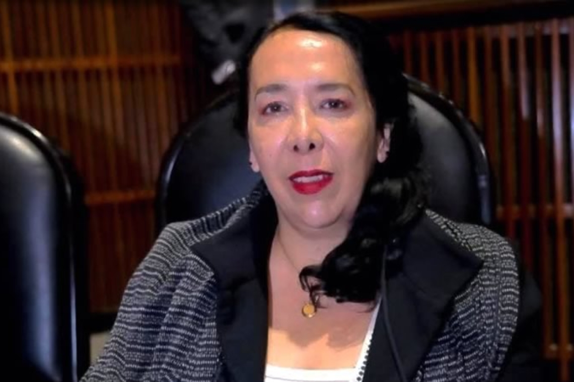 Juez niega desbloquear cuentas bancarias a Araceli Brown