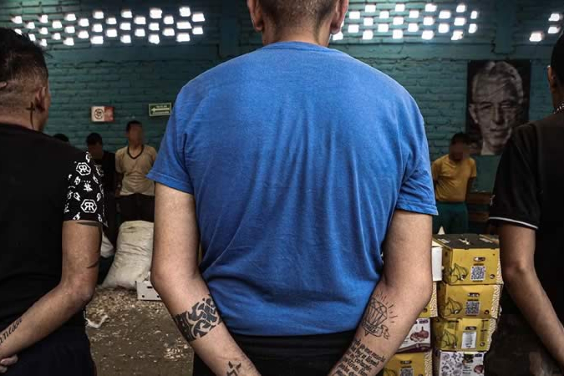 Una visita a la vida de los nadies