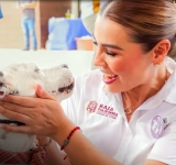 FBI tiene acceso ilimitado a videovigilancia en Chihuahua; gobierno de Maru Campos tiene pacto con Texas desde 2023