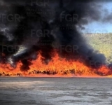 FGR LLEVA A CABO INCINERACIÓN DE MÁS DE 12 TONELADAS DE NARCÓTICO