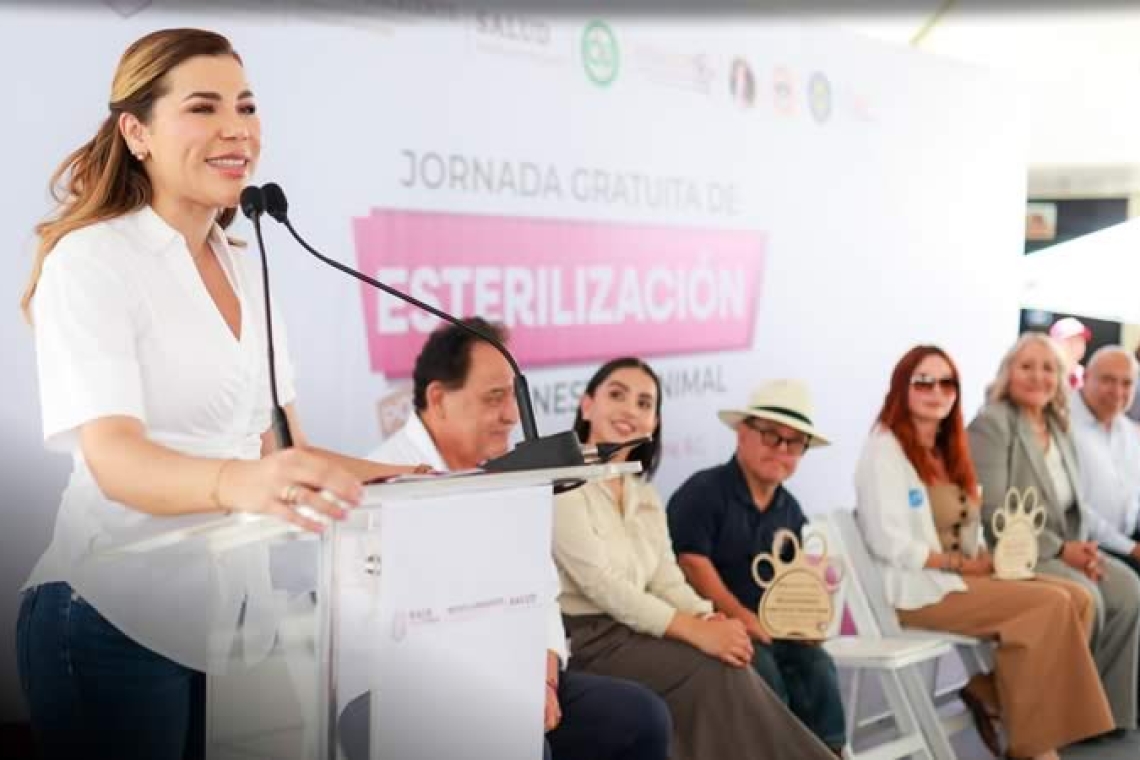 REFUERZA GOBERNADORA MARINA DEL PILAR ACCIONES DE BIENESTAR ANIMAL Y SALUD PÚBLICA EN BAJA CALIFORNIA