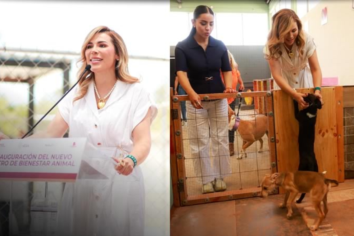 SUMA BAJA CALIFORNIA UN NUEVO HOGAR DE BIENESTAR PARA PERROS Y GATOS EN TECATE