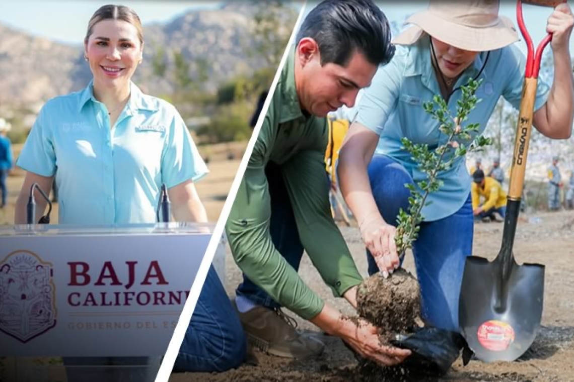 PARTICIPA BAJA CALIFORNIA EN LA JORNADA NACIONAL DE REFORESTACIÓN 2026 PARA PROTEGER Y RECUPERAR LOS ECOSISTEMAS