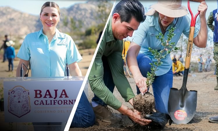 PARTICIPA BAJA CALIFORNIA EN LA JORNADA NACIONAL DE REFORESTACIÓN 2026 PARA PROTEGER Y RECUPERAR LOS ECOSISTEMAS