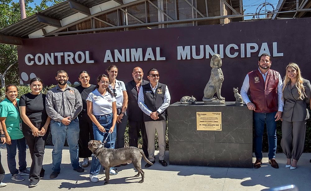 contro animal municipal 1
