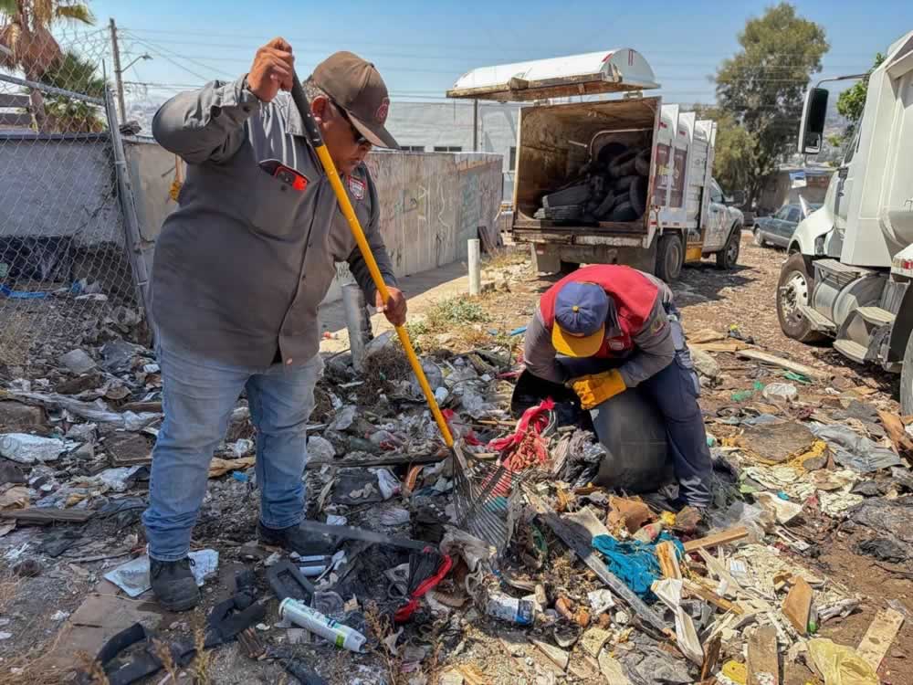 Tijuana limpa 3